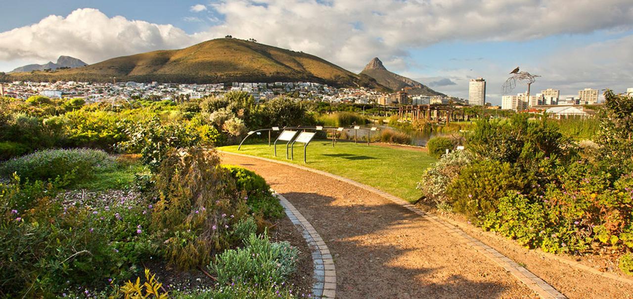 Harbour Terrace 14 By Ctha Apartment Cape Town Exterior foto